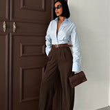 Flowy Pleated Brown Pants