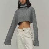 Turtle Neck Cropped Sweater