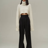 Wide Legs Pleated Pants In Colors