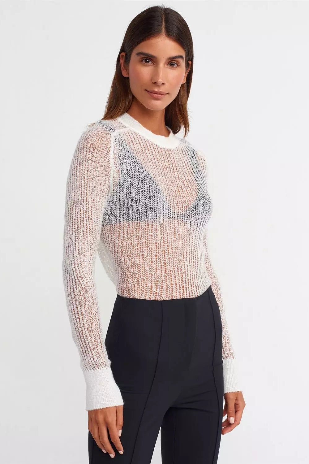 Crew Neck See-through Blouse