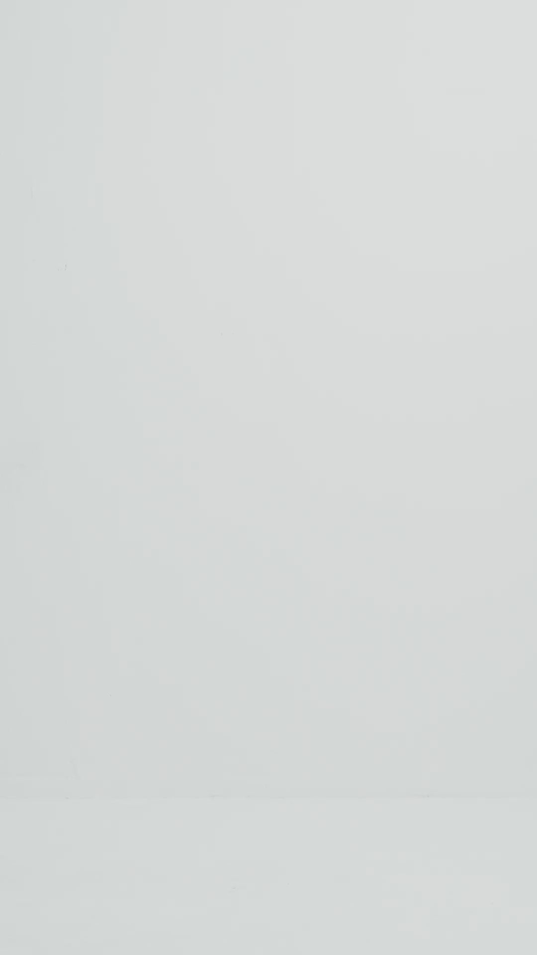 The Aurora Rider Jacket