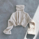 Turtle Neck Cropped Sweater